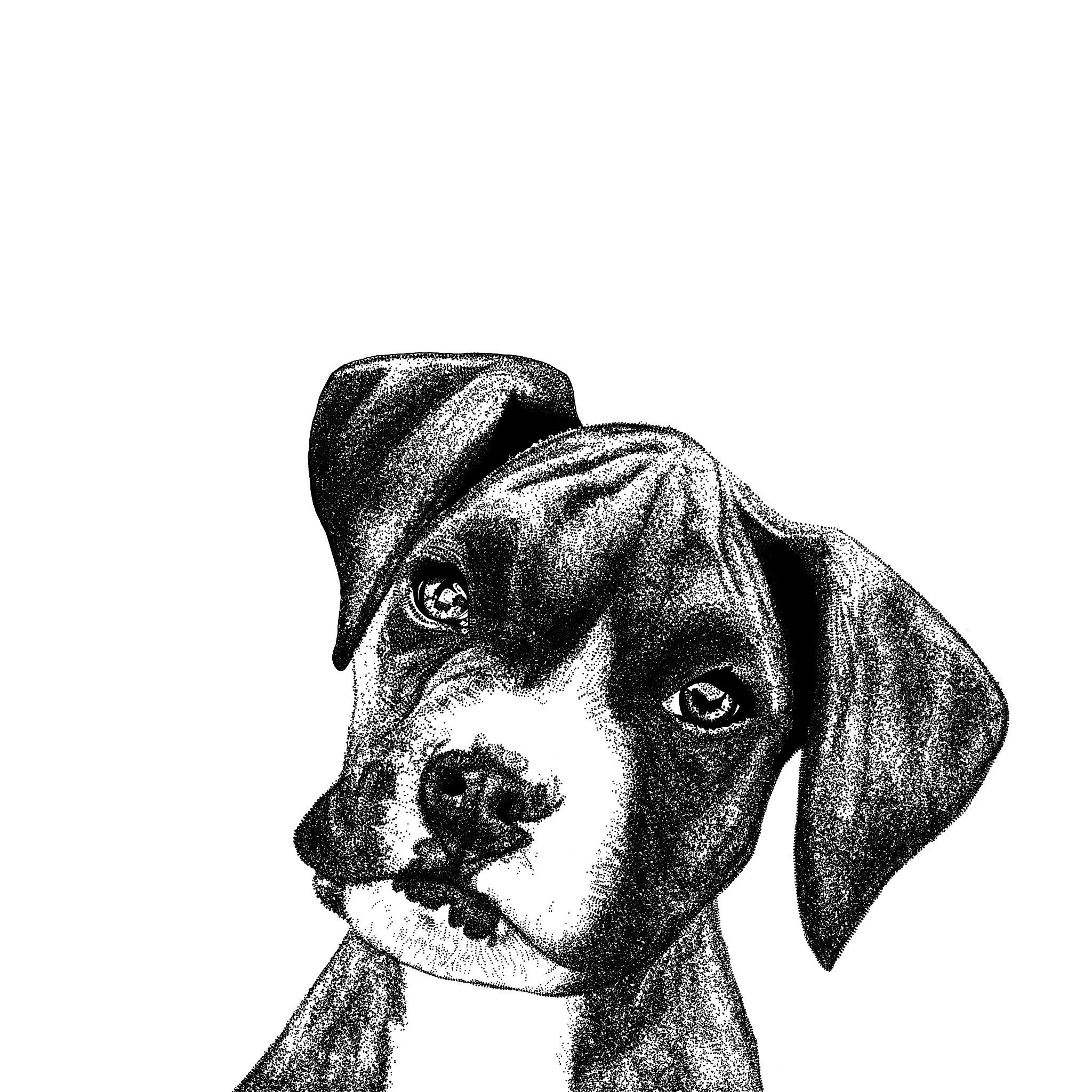 Grid image for Custom Pet Commission Dog Cat Horse Rabbit Pet Hand Drawn From a Photograph For the Perfect Gift