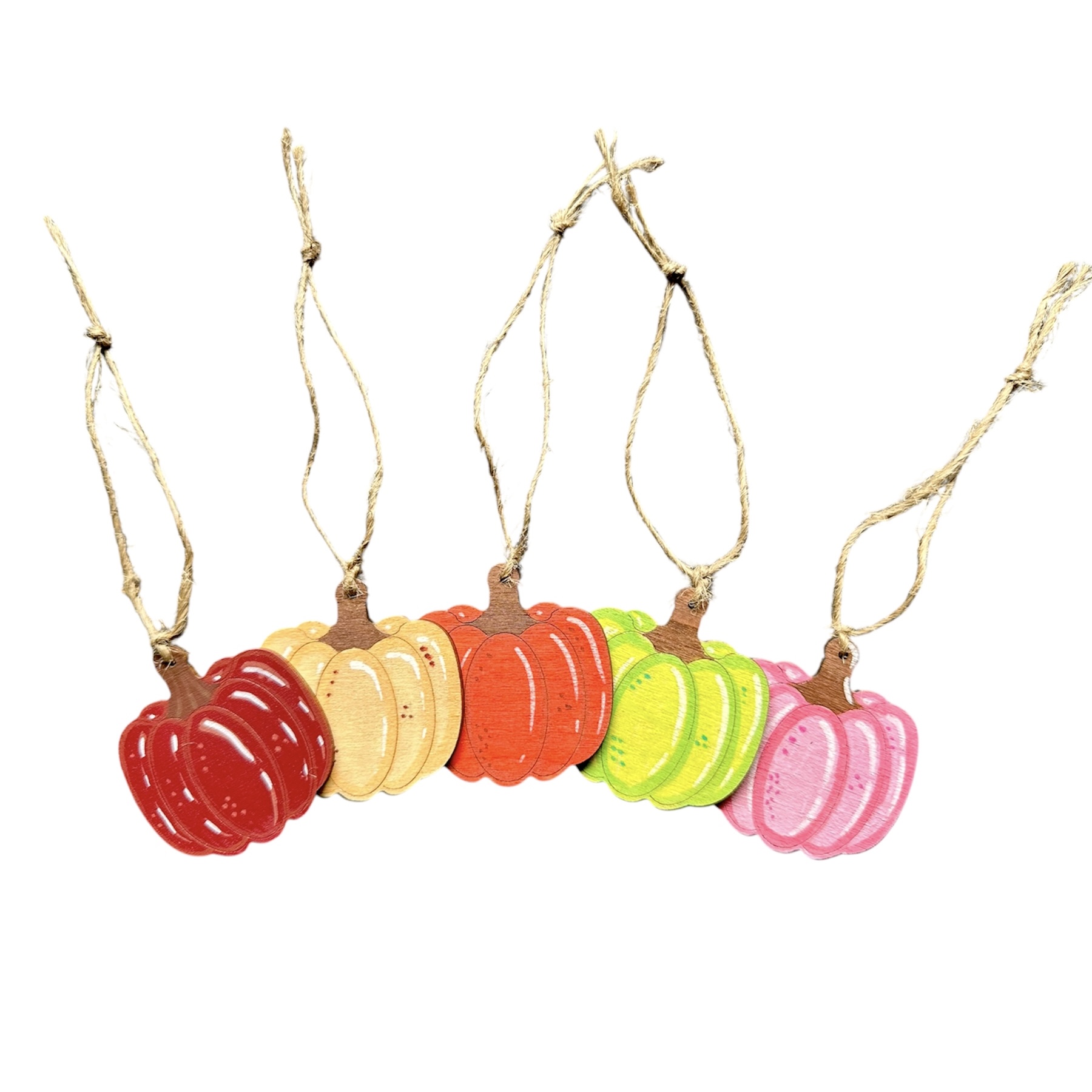 Addurniadau pwmpen hongian (pecyn o 5) - Pumpkin hanging decorations (pack of 5-hand painted) Image